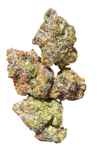 Truffle Sunday 100grams exotic indoor