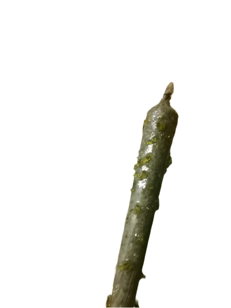 3 in one joint