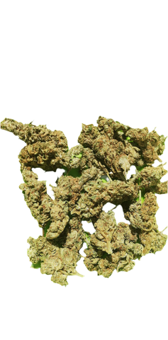 Swazi gold greenhouse