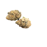 Peyote critcal