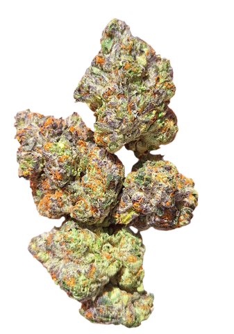 Truffle Sunday exotic indoor