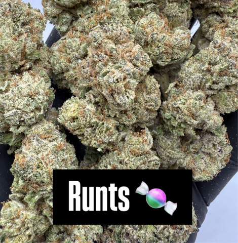 Runts indoor