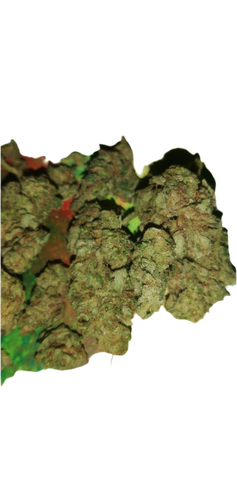 Zwasi gold greenhouse