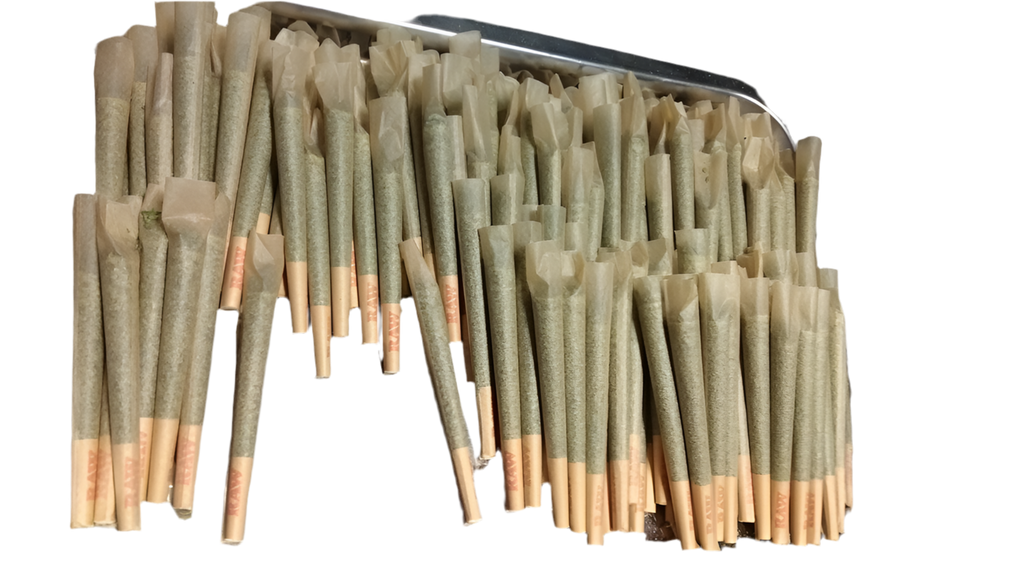 One Indoor joint