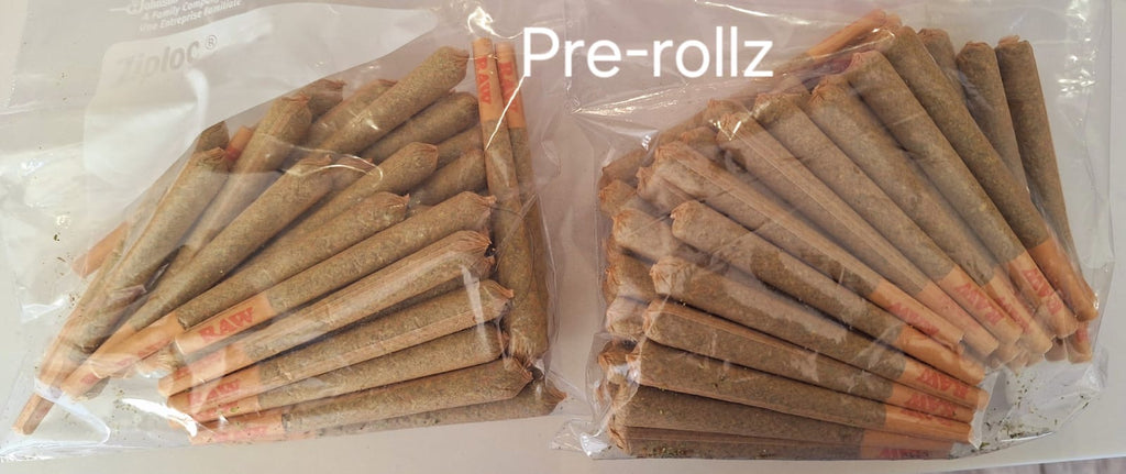 12 greenhouse preroll sun set shebert