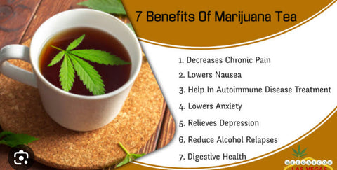 10 cannabis infused cheese tea bags with Ginger and honey 60 MG