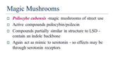 Shrooms