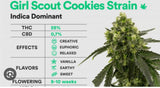 Girl scout cookies